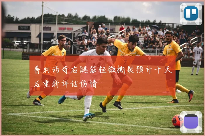 普利西奇右腿筋轻微撕裂预计十天后重新评估伤情