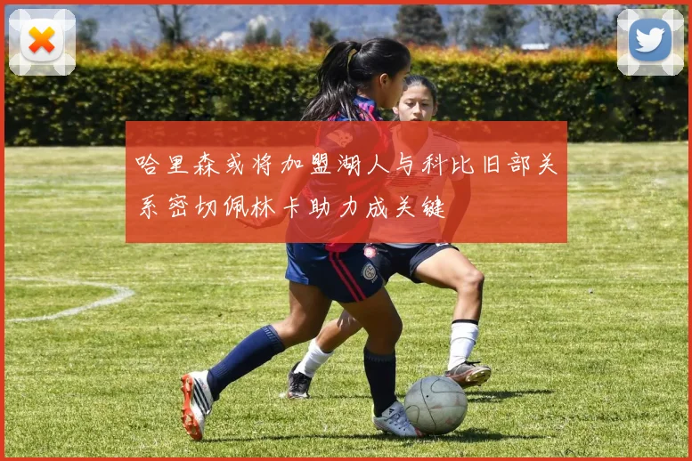 哈里森或将加盟湖人与科比旧部关系密切佩林卡助力成关键