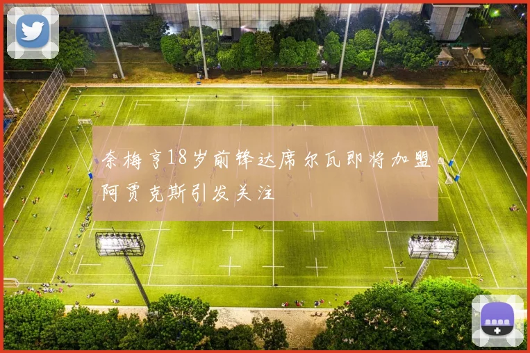 奈梅亨18岁前锋达席尔瓦即将加盟阿贾克斯引发关注