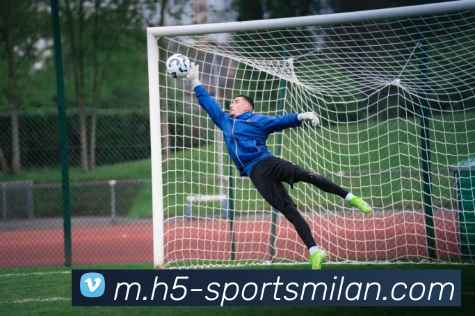 多媒体互动体验